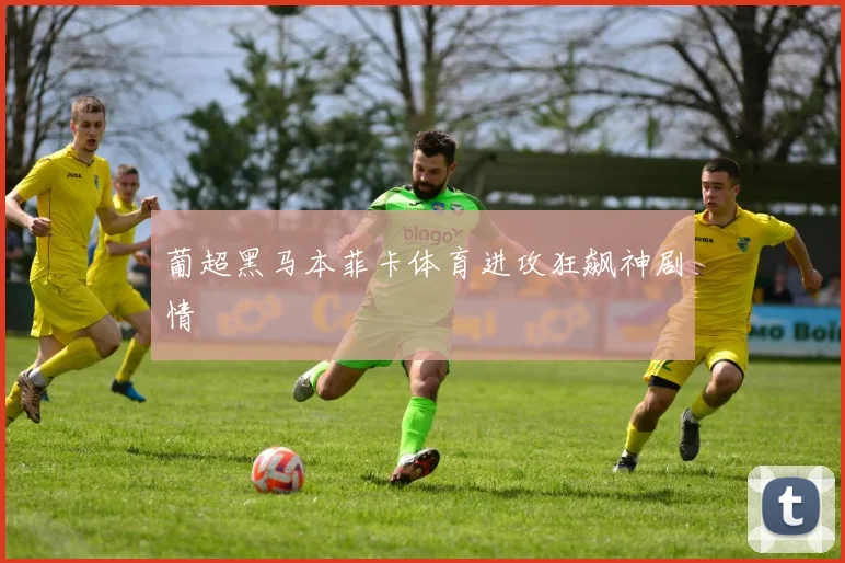 葡超黑马本菲卡体育进攻狂飙神剧情