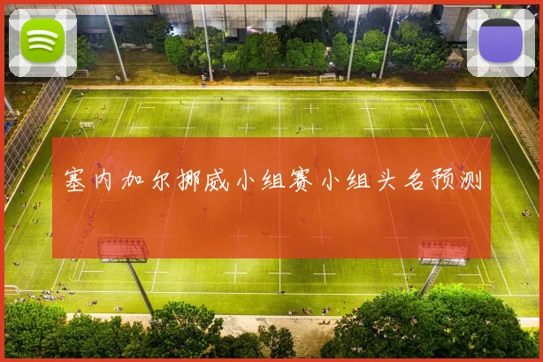 塞内加尔挪威小组赛小组头名预测