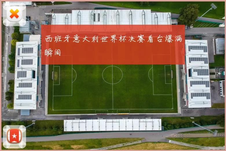 西班牙意大利世界杯决赛看台爆满瞬间
