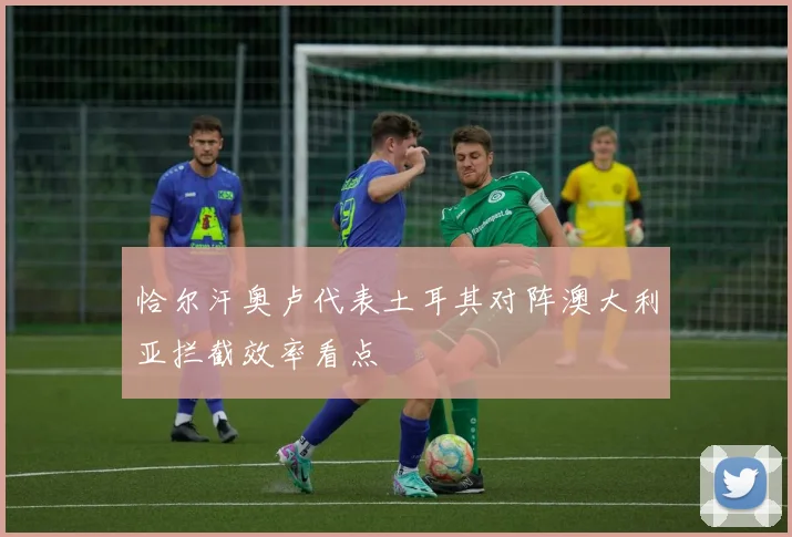 恰尔汗奥卢代表土耳其对阵澳大利亚拦截效率看点