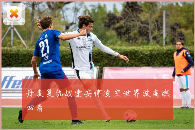 丹麦复仇战堂安律凌空世界波高燃回看